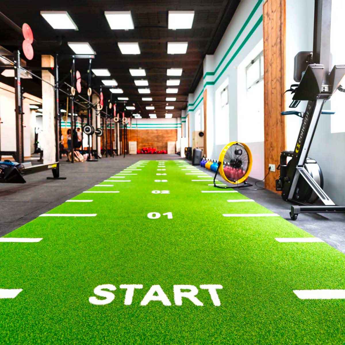 La Jungla inaugura un gimnasio espectacular en Madrid